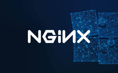 NGINX Monitoring Tool – Monitor your Web Server